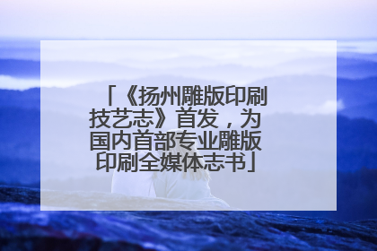 《扬州雕版印刷技艺志》首发，为国内首部专业雕版印刷全媒体志书