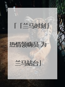 「兰马时刻」热情领嗨员 为兰马站台