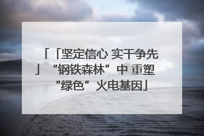 「坚定信心 实干争先」“钢铁森林”中 重塑“绿色”火电基因