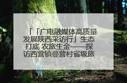 「广电融媒体高质量发展陕西采访行」生态打底 农旅生金——探访西营镇蔓营村省级旅游示范村的振兴密码
