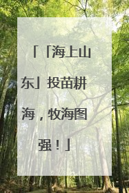 「海上山东」投苗耕海，牧海图强！