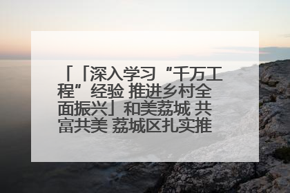 「深入学习“千万工程”经验 推进乡村全面振兴」和美荔城 共富共美 荔城区扎实推进乡村振兴工作