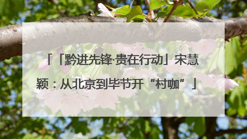 「黔进先锋·贵在行动」宋慧颖：从北京到毕节开“村咖”