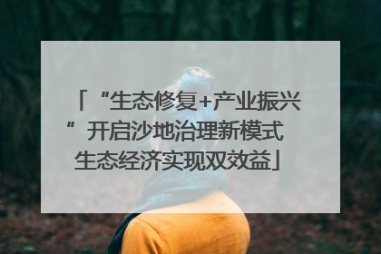 “生态修复+产业振兴”开启沙地治理新模式 生态经济实现双效益