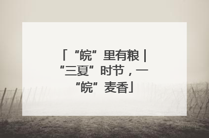 “皖”里有粮｜“三夏”时节，一“皖”麦香