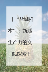 “盐城样本”：新质生产力的实践探索