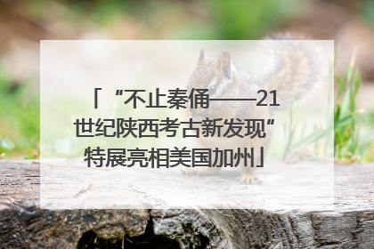 “不止秦俑——21世纪陕西考古新发现”特展亮相美国加州