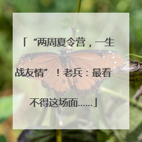 “两周夏令营，一生战友情”！老兵：最看不得这场面……