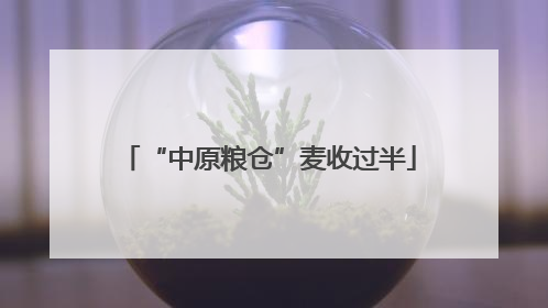 “中原粮仓”麦收过半