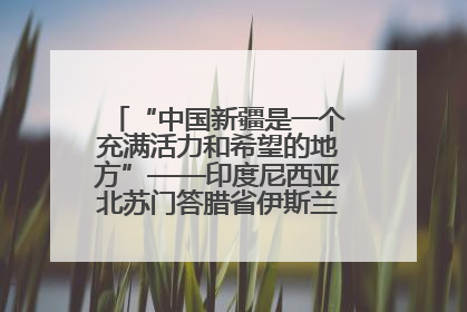 “中国新疆是一个充满活力和希望的地方”——印度尼西亚北苏门答腊省伊斯兰教代表团参访新疆