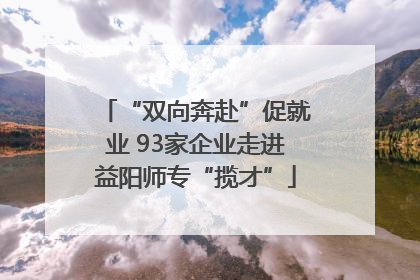 “双向奔赴”促就业 93家企业走进益阳师专“揽才”
