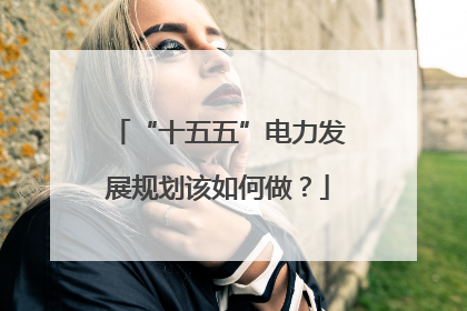 “十五五”电力发展规划该如何做？