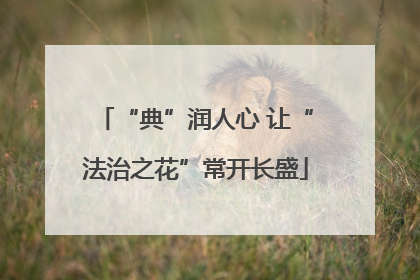 “典”润人心 让“法治之花”常开长盛