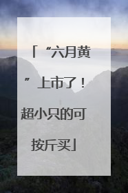 “六月黄”上市了！超小只的可按斤买
