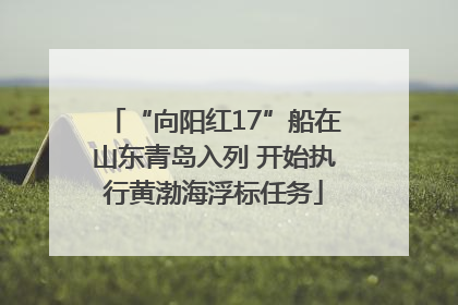 “向阳红17”船在山东青岛入列 开始执行黄渤海浮标任务
