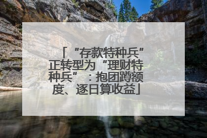 “存款特种兵”正转型为“理财特种兵”：抱团蹲额度、逐日算收益