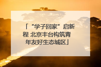 “学子回家”启新程 北京丰台构筑青年友好生态城区