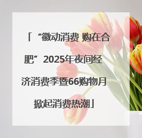 “徽动消费 购在合肥”2025年夜间经济消费季暨66购物月掀起消费热潮