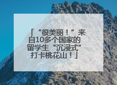 “很美丽！”来自10多个国家的留学生“沉浸式”打卡桃花山！