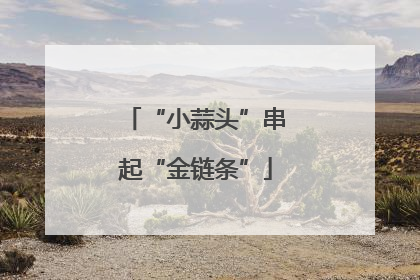 “小蒜头”串起“金链条”