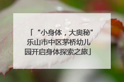 “小身体，大奥秘” 乐山市中区茅桥幼儿园开启身体探索之旅