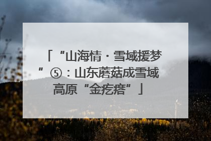 “山海情・雪域援梦”⑤：山东蘑菇成雪域高原“金疙瘩”