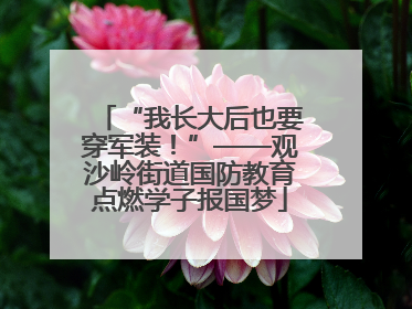 “我长大后也要穿军装！”——观沙岭街道国防教育点燃学子报国梦