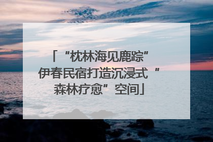 “枕林海见鹿踪” 伊春民宿打造沉浸式“森林疗愈”空间