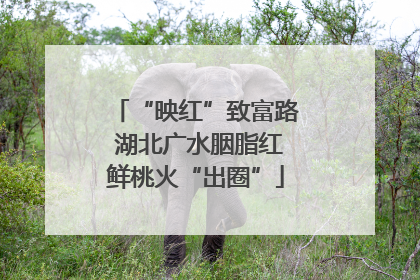 “映红”致富路 湖北广水胭脂红鲜桃火“出圈”