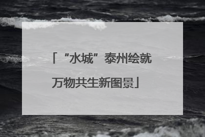 “水城”泰州绘就万物共生新图景