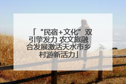 “民宿+文化”双引擎发力 农文旅融合发展激活天水市乡村游新活力