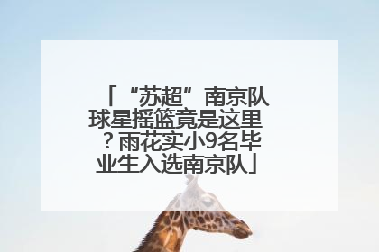 “苏超”南京队球星摇篮竟是这里？雨花实小9名毕业生入选南京队