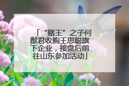 “赌王”之子何猷君收购王思聪旗下企业，接盘后前往山东参加活动