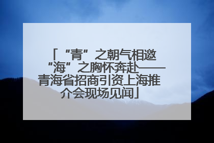 “青”之朝气相邀 “海”之胸怀奔赴——青海省招商引资上海推介会现场见闻
