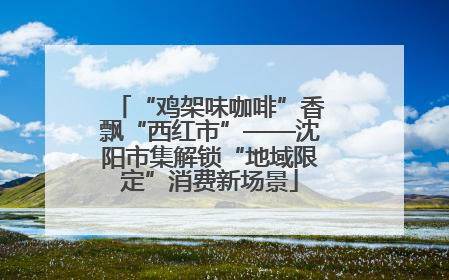 “鸡架味咖啡”香飘“西红市”——沈阳市集解锁“地域限定”消费新场景