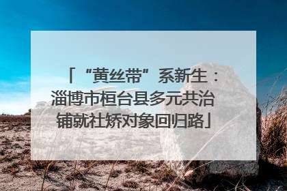 “黄丝带”系新生：淄博市桓台县多元共治铺就社矫对象回归路