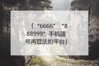 “6666”“888999”手机靓号再登法拍平台