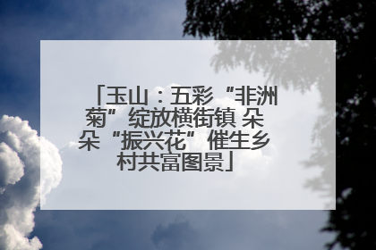玉山：五彩“非洲菊”绽放横街镇 朵朵“振兴花”催生乡村共富图景