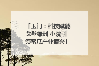 玉门：科技赋能戈壁绿洲 小院引领蜜瓜产业振兴
