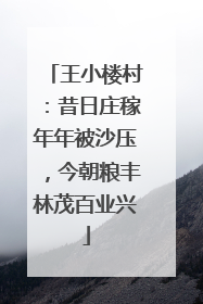 王小楼村：昔日庄稼年年被沙压，今朝粮丰林茂百业兴