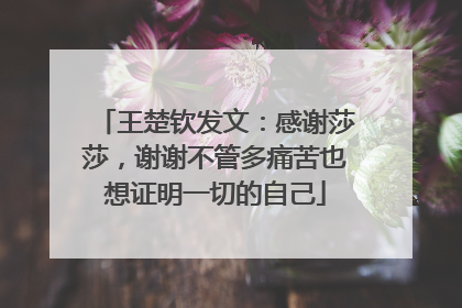 王楚钦发文：感谢莎莎，谢谢不管多痛苦也想证明一切的自己