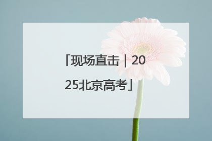 现场直击｜2025北京高考