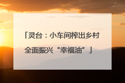 灵台：小车间榨出乡村全面振兴“幸福油”