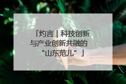 灼言｜科技创新与产业创新共融的“山东范儿”