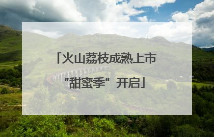 火山荔枝成熟上市 “甜蜜季”开启