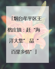 烟台牟平区王格庄镇：赶“海洋大集” 品“百果乡情”