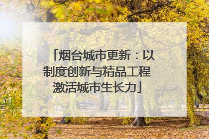 烟台城市更新：以制度创新与精品工程激活城市生长力