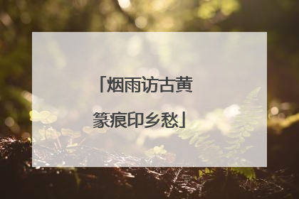 烟雨访古黄 篆痕印乡愁