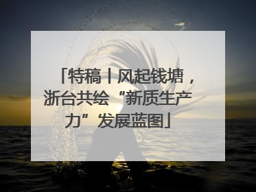 特稿丨风起钱塘，浙台共绘“新质生产力”发展蓝图