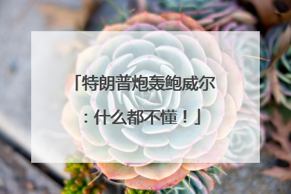 特朗普炮轰鲍威尔：什么都不懂！
